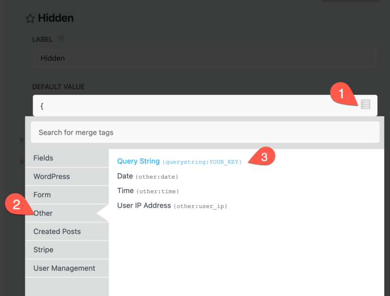 Add query string meta to the Default Value field via the merge-tag picker