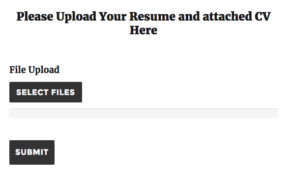 accepting resumes with ninja forms- front end display of sample form