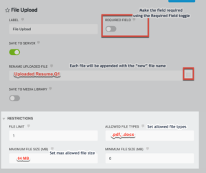 File Upload field restriction settings