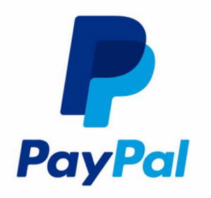 image of the paypal brand logo
