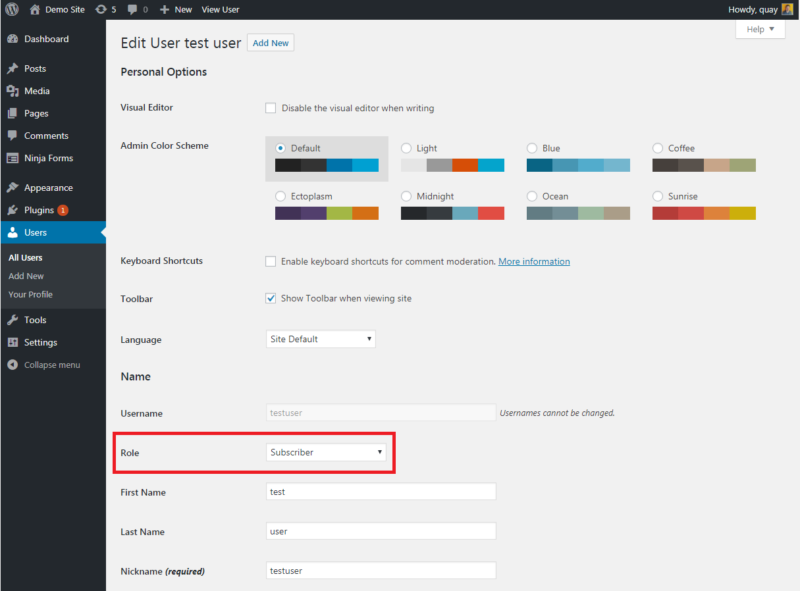 wordpress user roles role setting