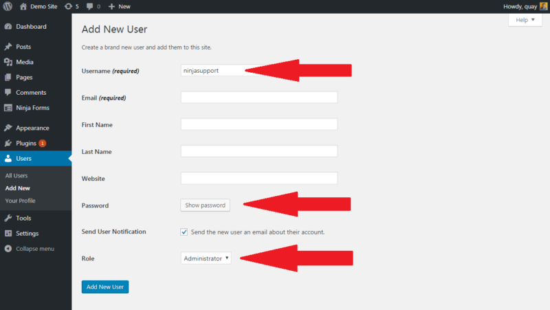 wordpress user roles temp admin credentials settings