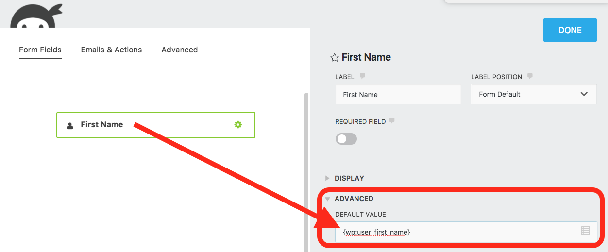 Add user metadata to your WordPress form field.