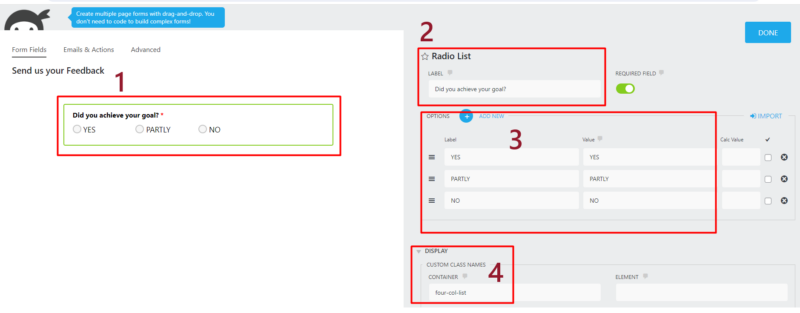 How to set the radio list field 