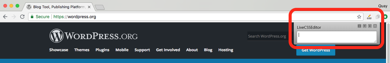 live css editor icon in the chrome browser