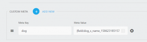 Custom Meta Key and Value