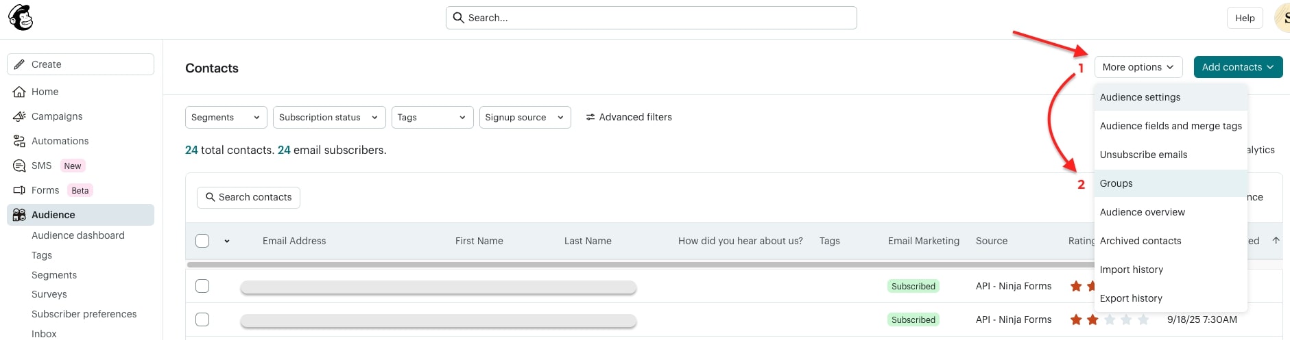 Mailchimp group option