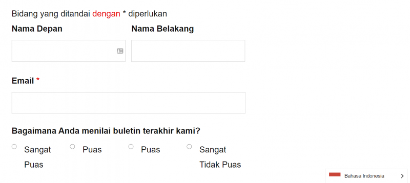 WordPress form translation - WordPress form preview in Indonesian