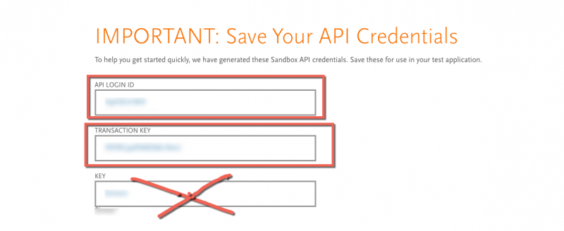 image of authorize account screen, Sandbox Credentials