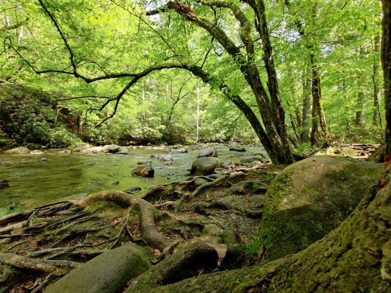 Smoky Mountain River Trail