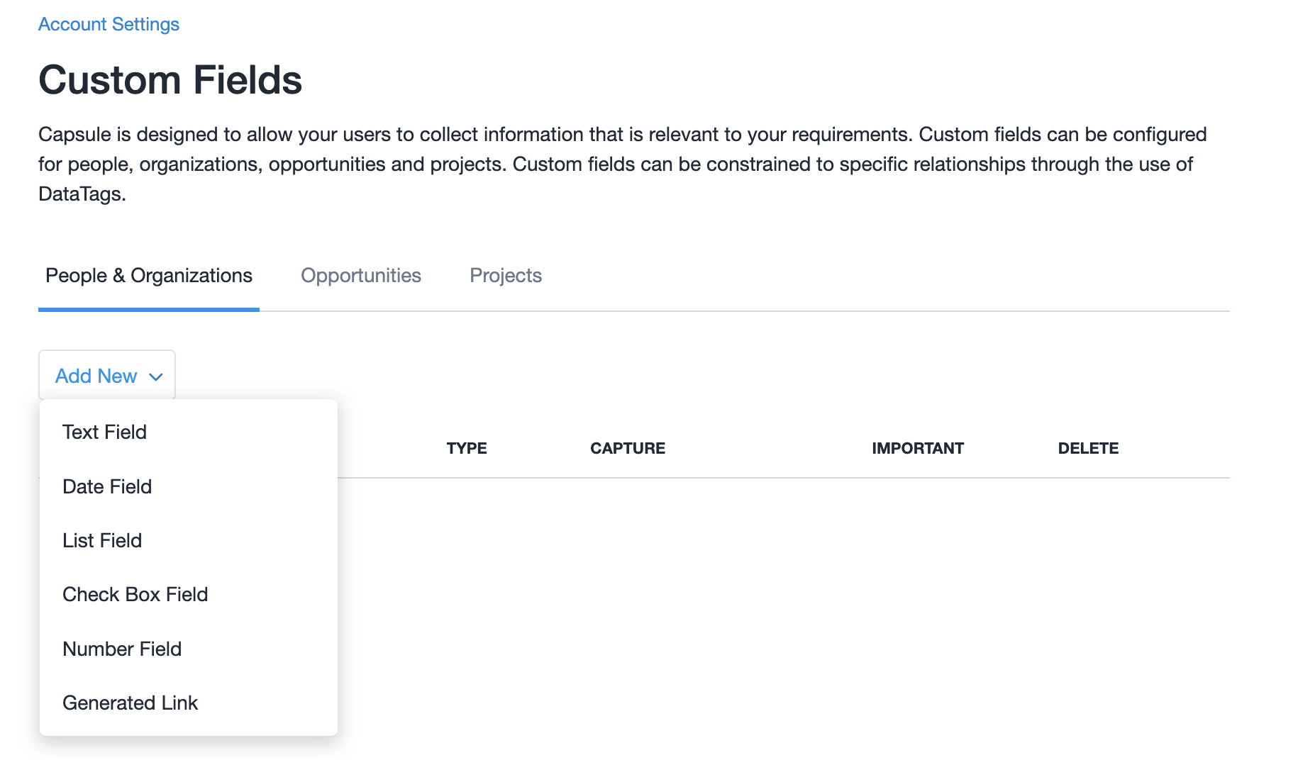 custom fields capsule crm