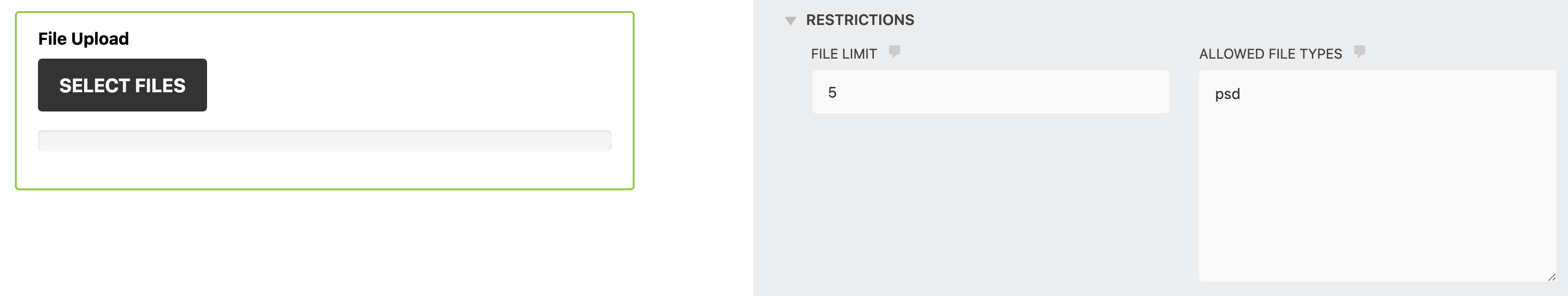 allow a single file type in wordpress