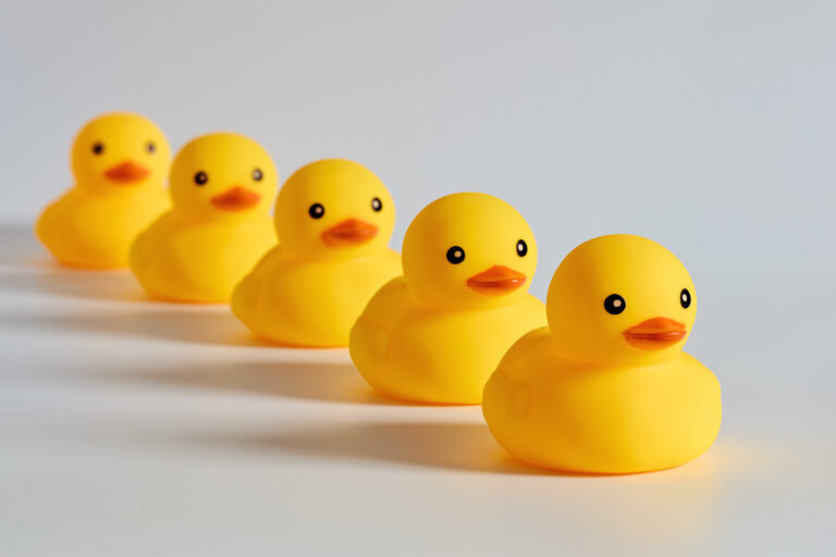 prevent duplicate submissions in wordpress