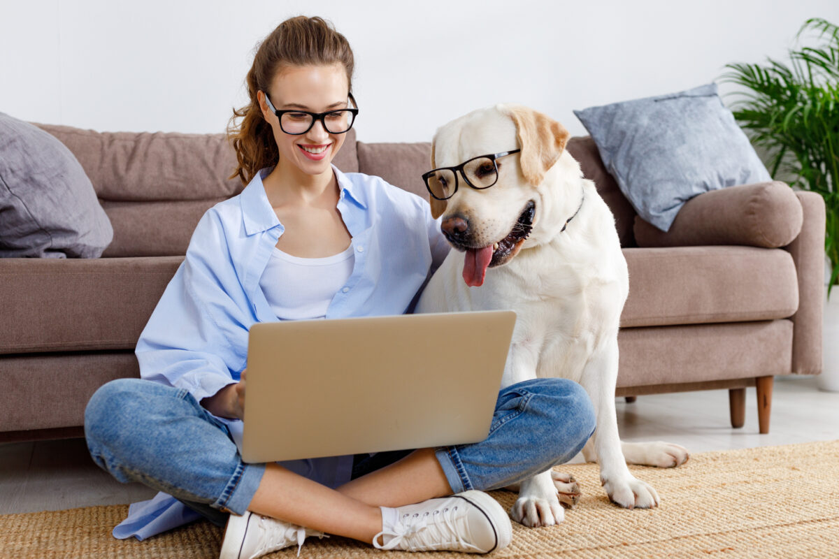 dropdown field in wordpress complete guide