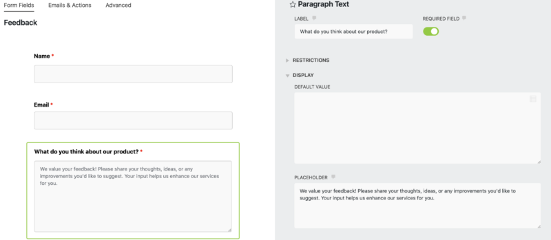 add a placeholder to paragraph text field