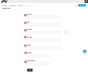 Finished User Profile WordPress form