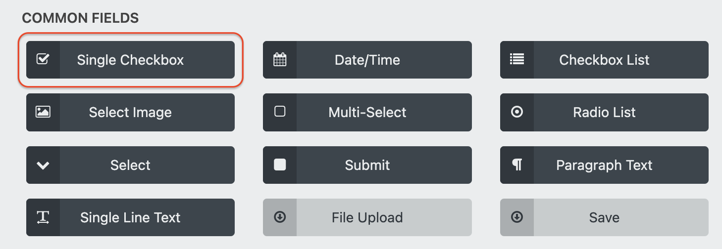 add a single checkbox in wordpress