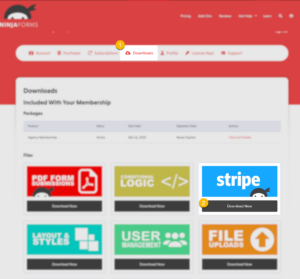 Ninja Forms account holder Downloads dashboard