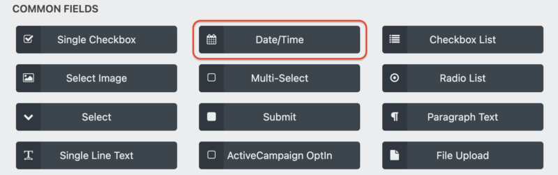 date time field in wordpress