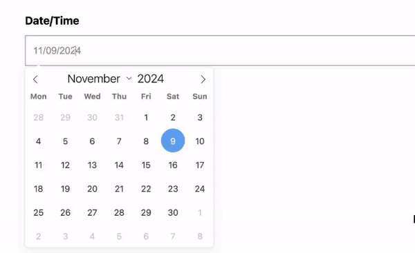 date time picker field