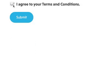 single checkbox field