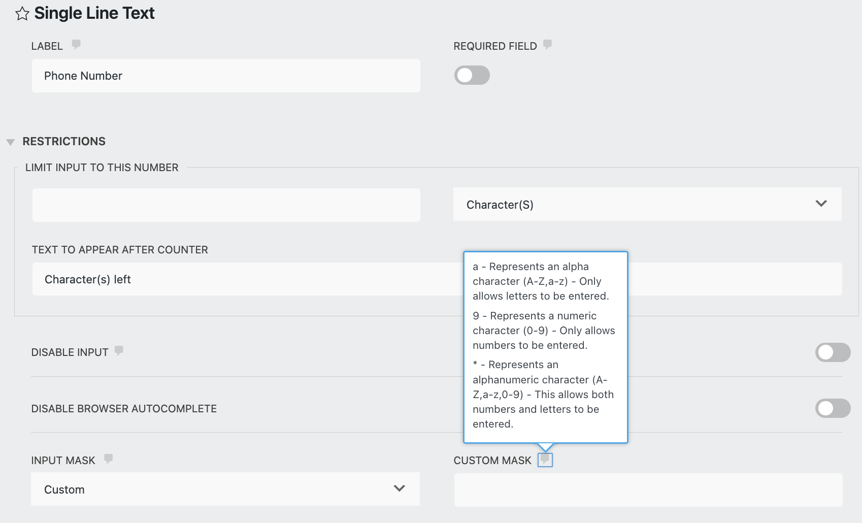 custom input mask for phone field