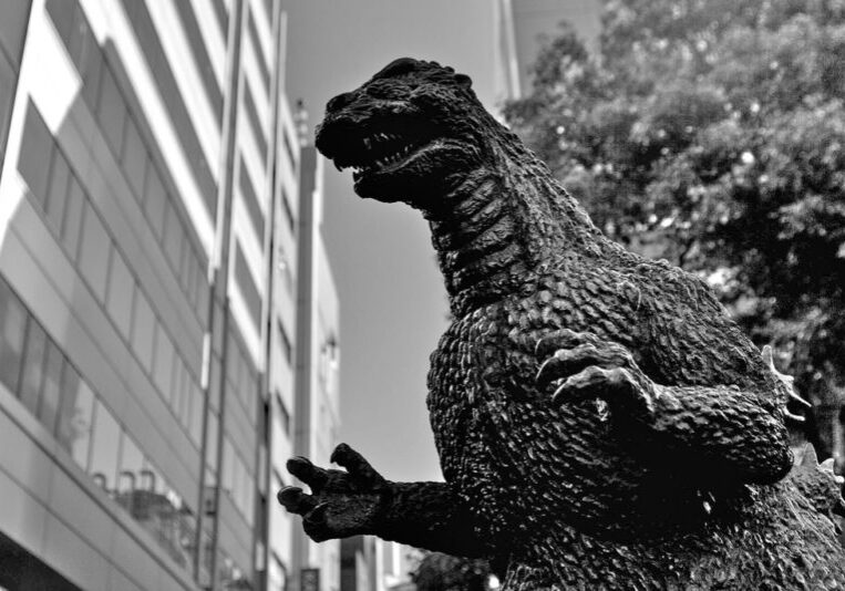 3518082842_93f3a1749f_b