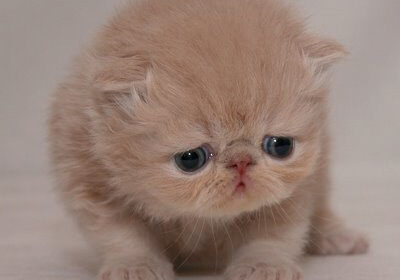 email not working picture of a stamp