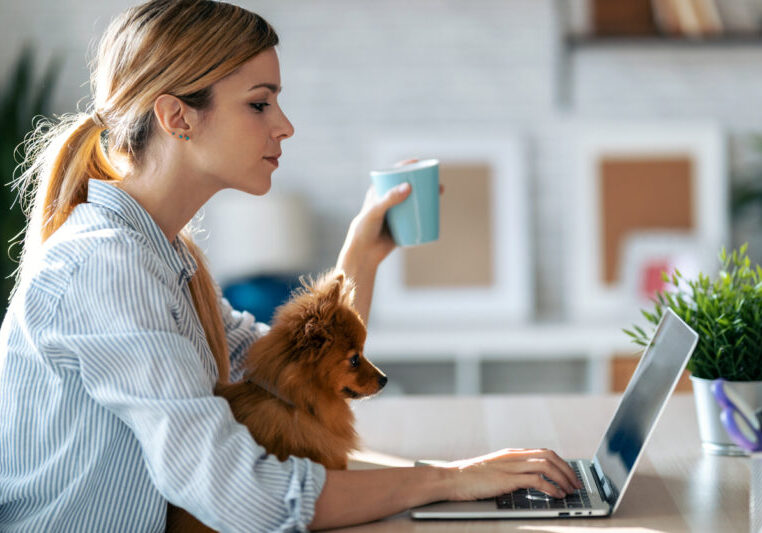 Connect Mailchimp to your WordPress Forms in Less than Five Minutes!