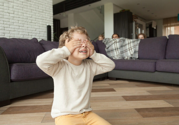 How to Create Conditional WordPress Form Fields ( Hide / Show )