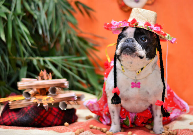 Ninja News and Release Updates for May 2022