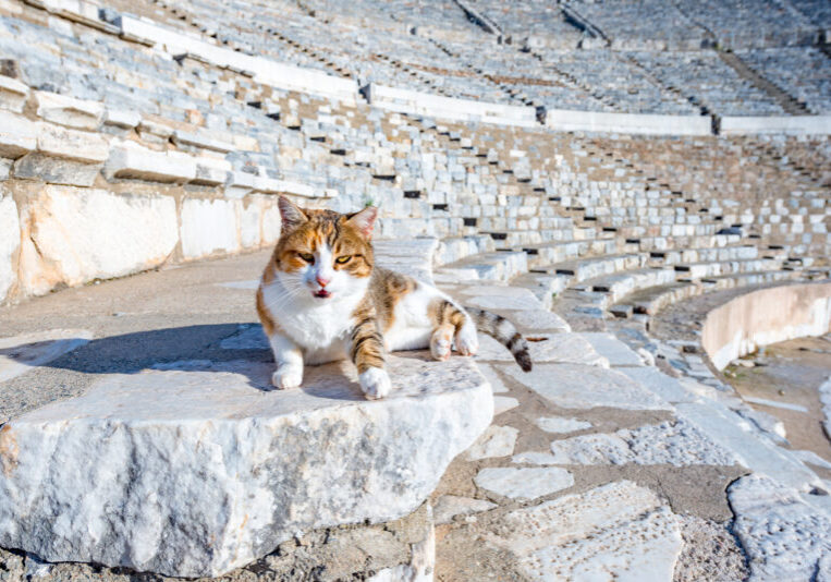 Saturday-Drive-Roman-Empire-Edition