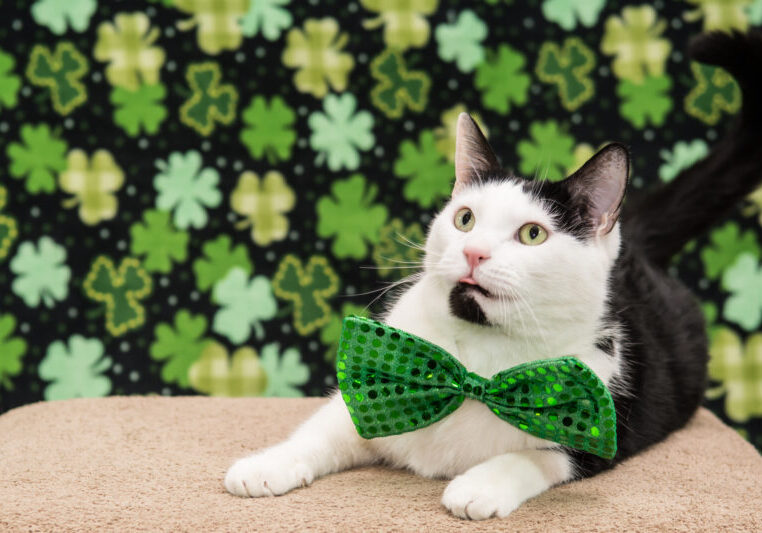 What’s new from Ninja Forms? The March Edition.