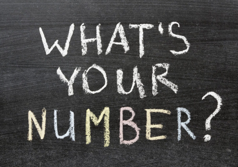 how to add a phone field in wordpress