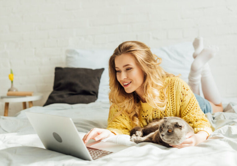 resend email notification in wordpress