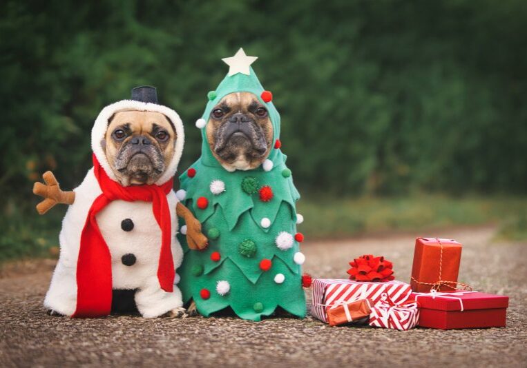 Ninja Forms News and Releases for December