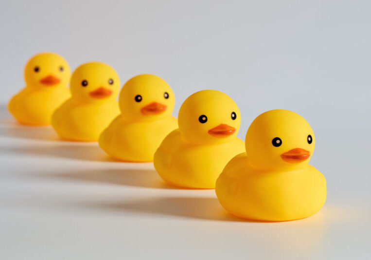 prevent duplicate submissions in wordpress