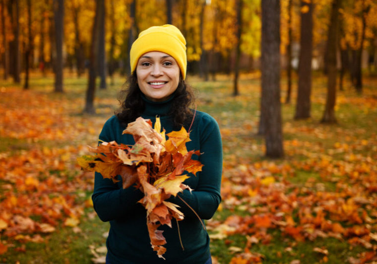 WordPress Happenings: September 2023