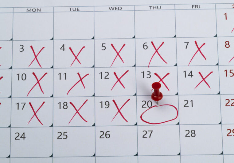 Block All Past Dates on WordPress Booking Form