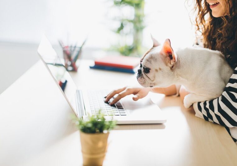 form actions in wordpress forms