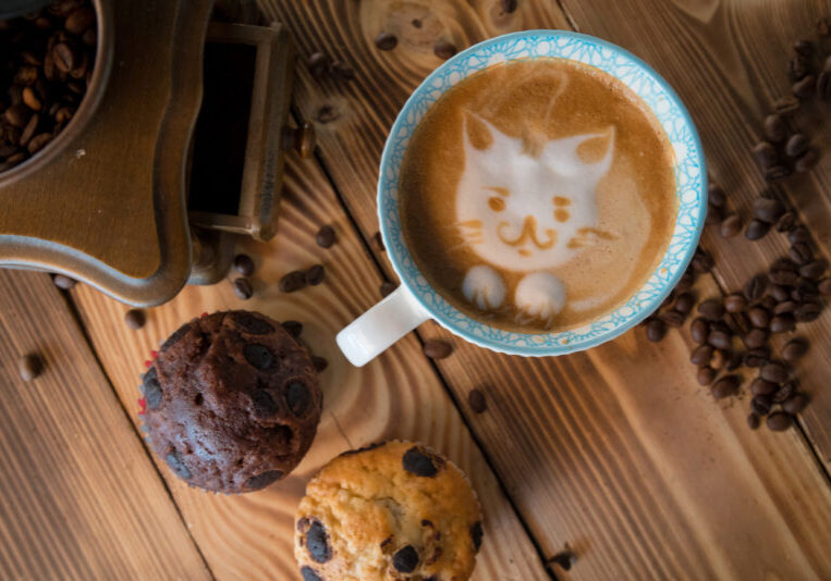 What's New? Saturday Drive Coffee Edition