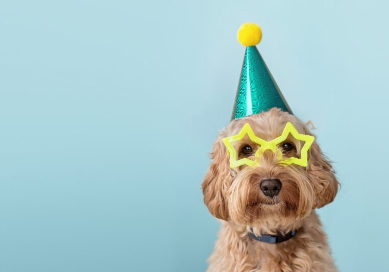 Ninja Forms New Features