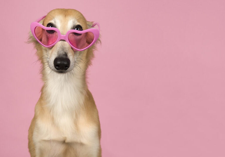 top 10 ninja forms free features