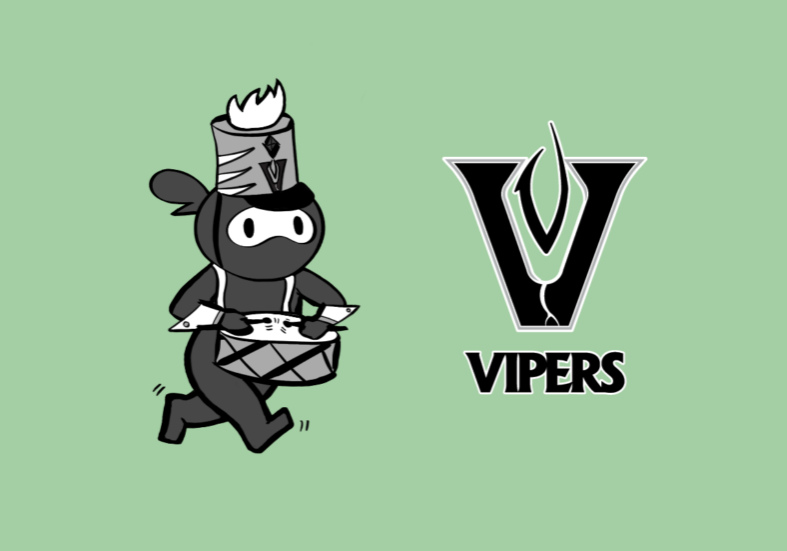 vhs band feature image